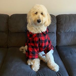 Dog Christmas Pajamas
